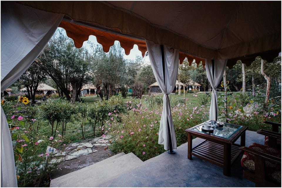Nubra eco village Hotel in India