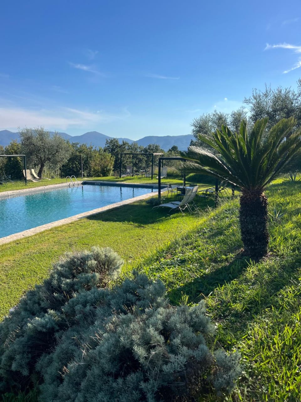 Azienda Agricola Fabbrica Di San Martino Hotel in Lucca