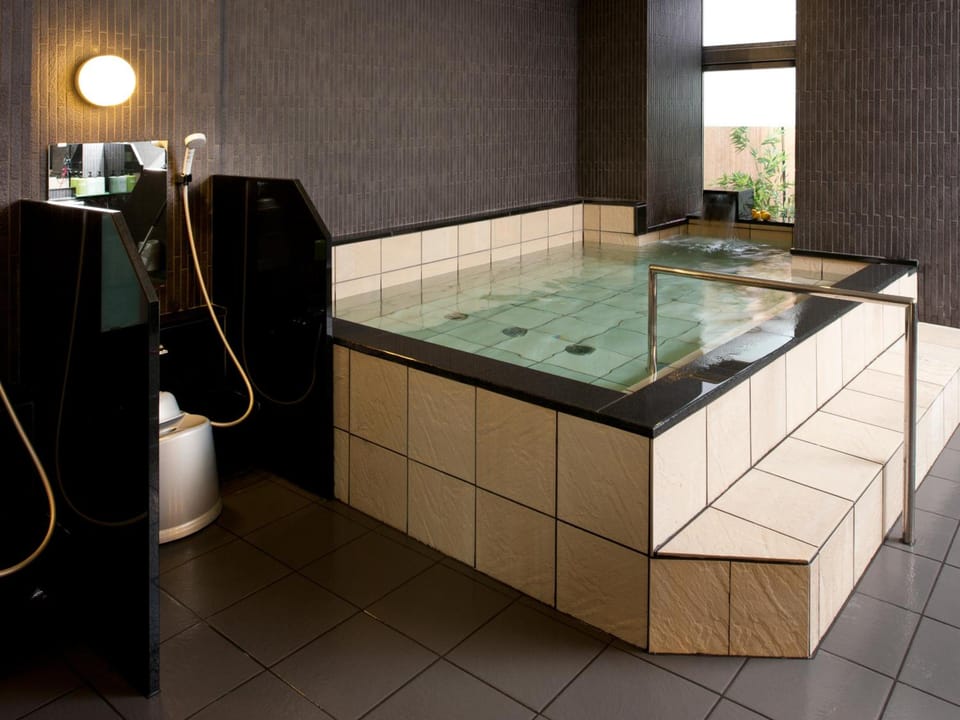 Niigata Daiichi Hotel Hotel in Japan