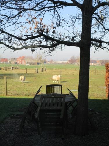 B&B De Pethaan Hotel in Flanders