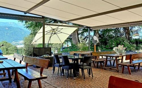 Hotel Garni Gruner Baum (Albero Verde) Hotel in Trentino-South Tyrol