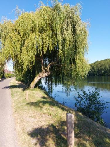 Calme au bord de l'eau Hotel in Bourgogne-Franche-Comté