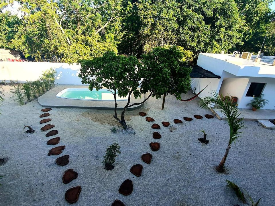 View
