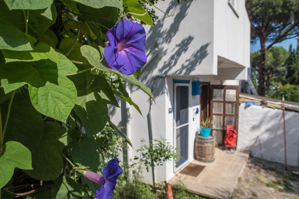 Ecer Pansiyon Apartment hotel in Aydın Province