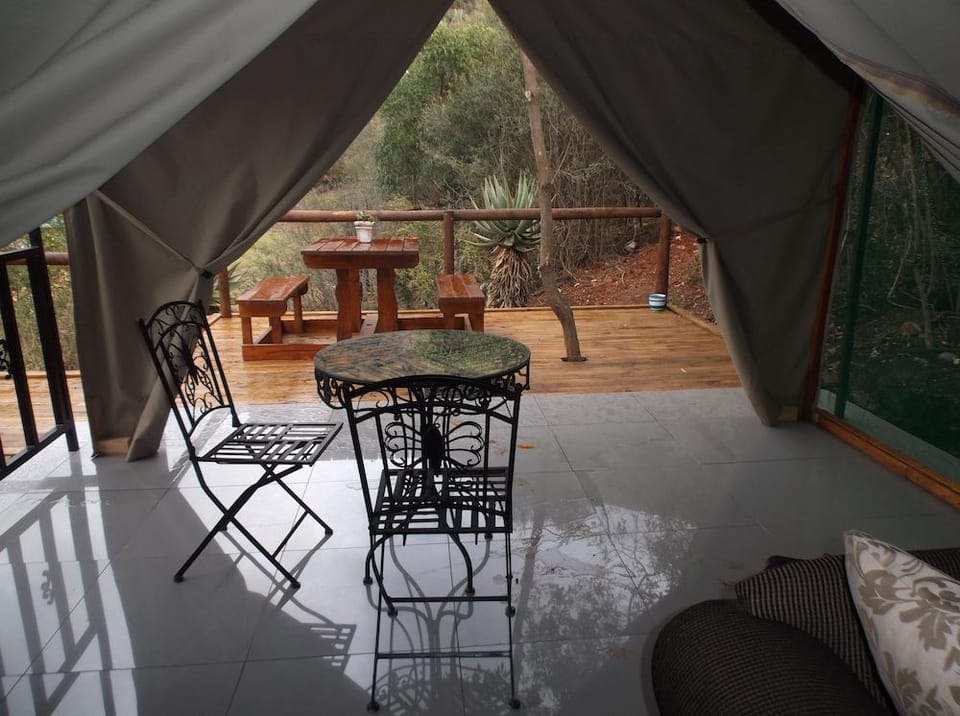 Old Mill lodge, Working Ostrich Farm & Restaurant Hotel in Western Cape