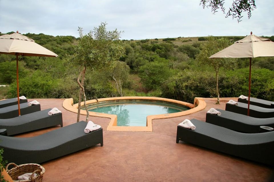 Amakhala Safari Lodge Hotel in Eastern Cape