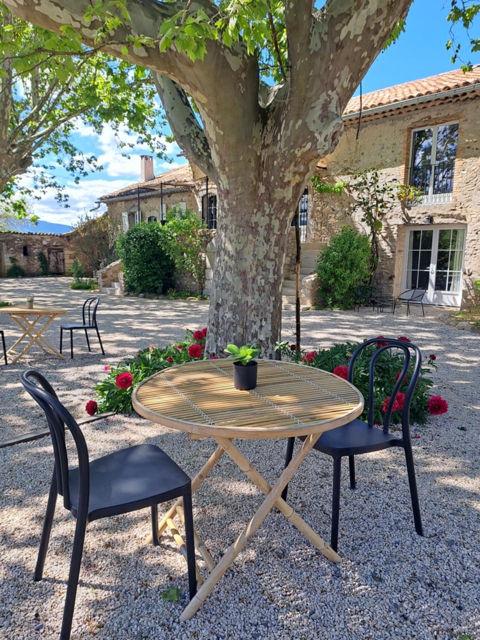 Hotel Le Cottage de Sophie Hotel in Sisteron
