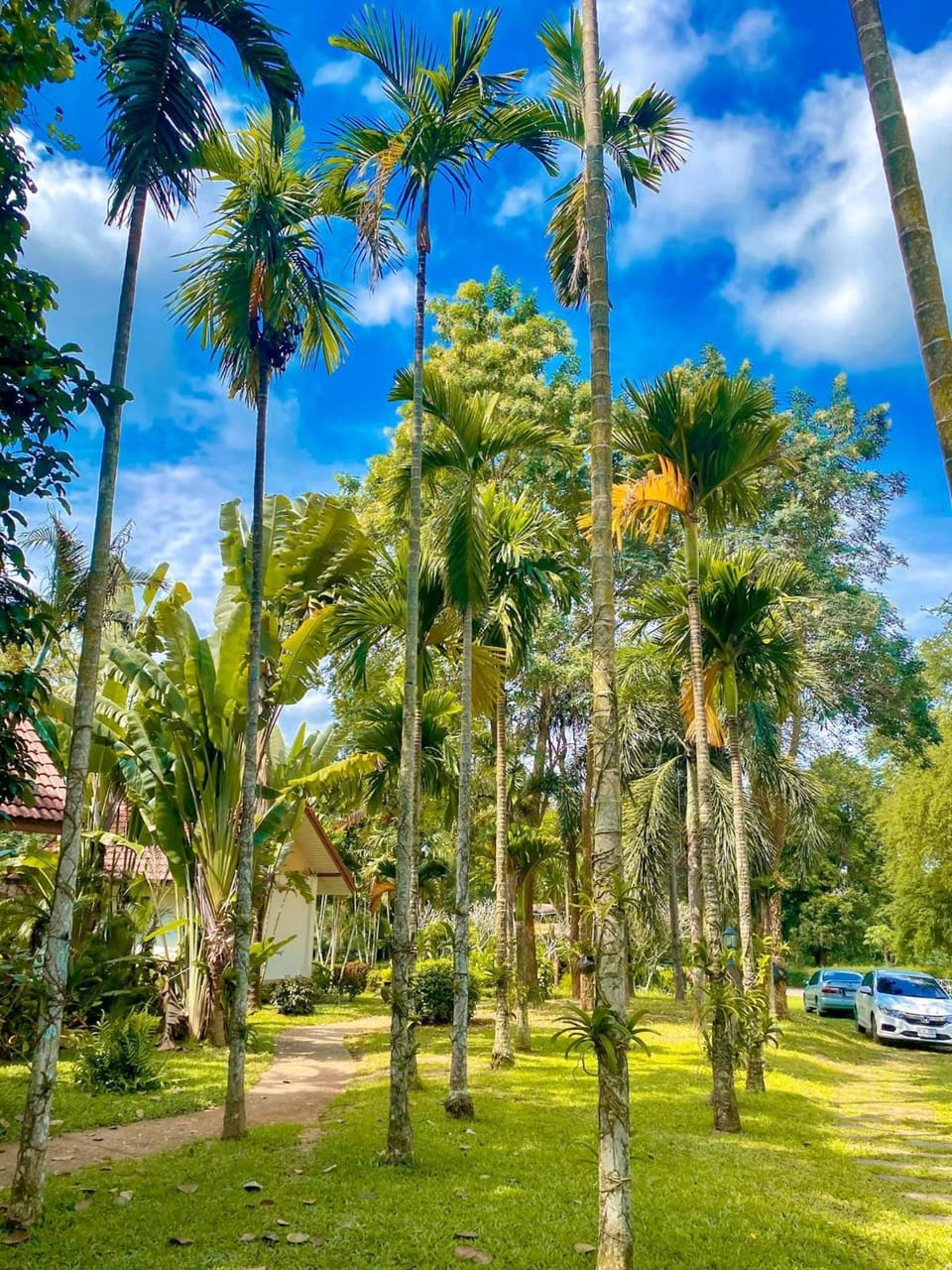 Vimannam Resort Hotel in Thailand