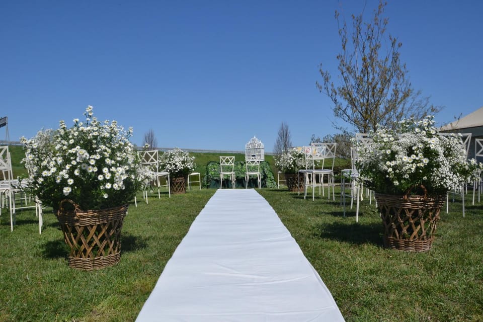 Hotel Petrarca Hotel in Veneto