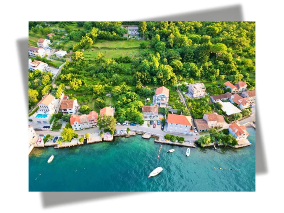 Apartmens Djurovic Apartment hotel in Kotor Municipality
