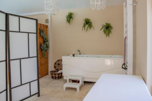 Mas l aigo claro Hotel in Arles