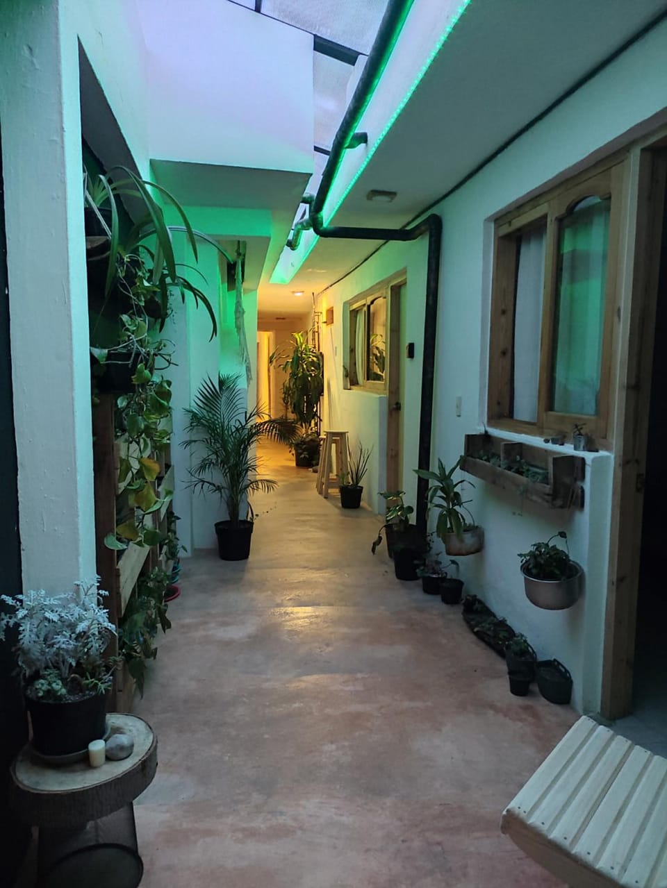Casa Boutique 55 Hostel in San Cristobal de Casas