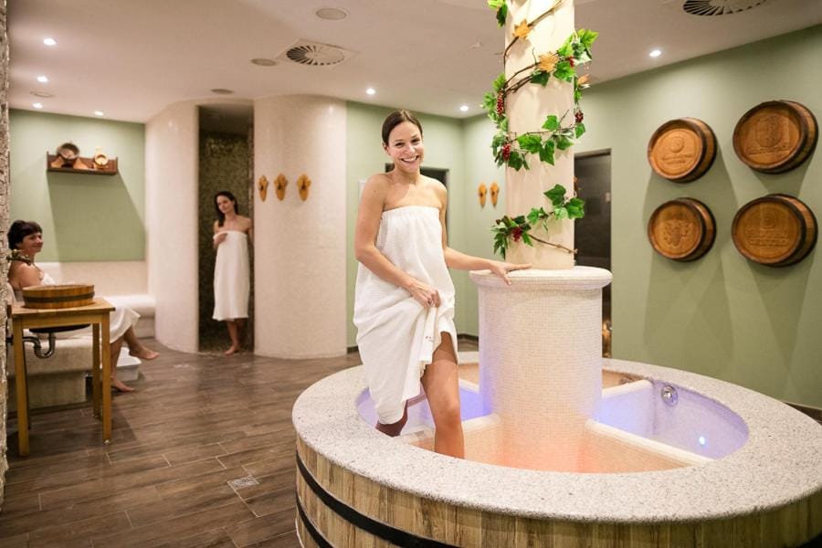 Wine Wellness Hotel Amande Hustopece Hotel in South Moravian Region