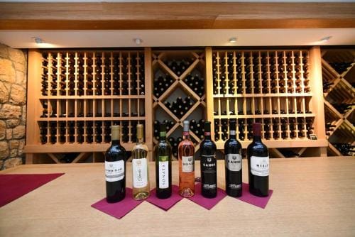 Villa Luxury Rooms - Wine Resort Hotel in Vojvodina