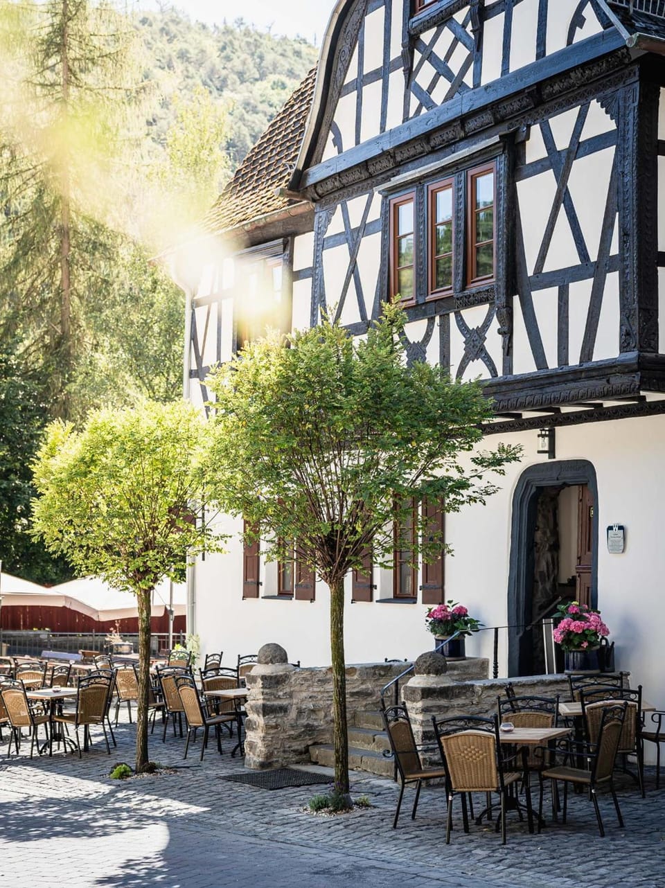 Landgasthof zur Burg Grenzau Hotel in Rhineland-Palatinate