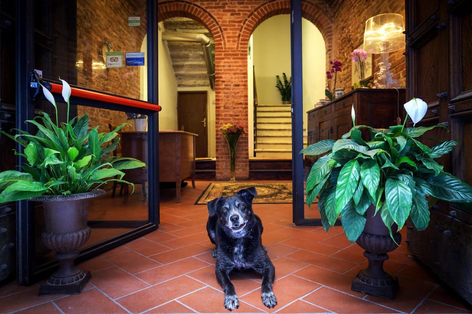 I Merli di Ada Hotel in Siena