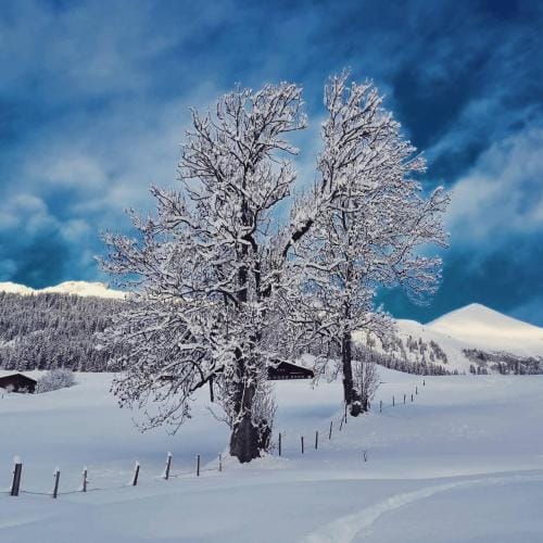 Snow+Surf B&B Hotel in Saanen