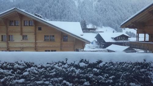 Snow+Surf B&B Hotel in Saanen