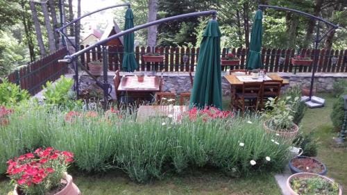 Restaurant and Apartments - T'ga za Jug Lazaropole Hotel in North Macedonia