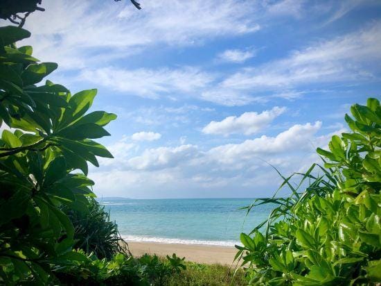 Guest House Hibiscus Hotel in Okinawa Prefecture