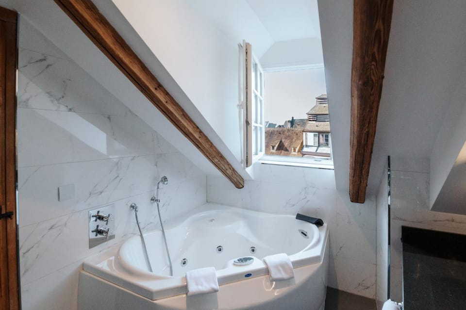 Hotel & Spa Le Bouclier D'or Hotel in Strasbourg