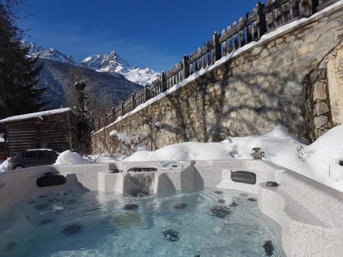 Chalet Solneige Hotel in Oz