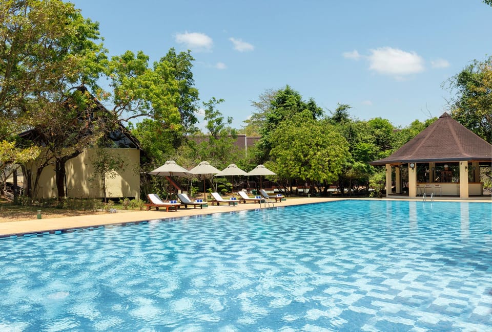 Swimming pool [outdoor]