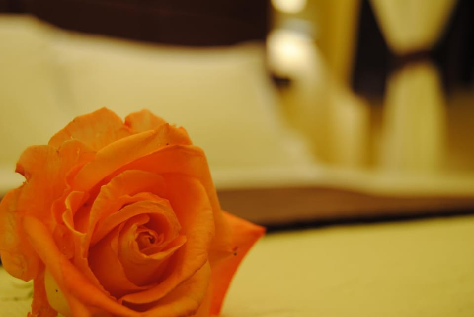 EuroHome Hotel in Emilia-Romagna