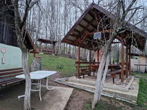 La salasul fermecat in Cheile Carasului Lodge in Timiș County