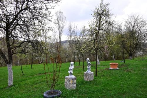 La salasul fermecat in Cheile Carasului Lodge in Timiș County