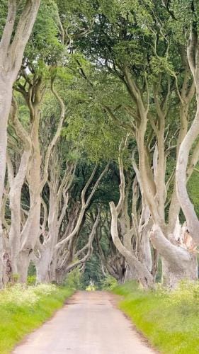 Church View B&B Hotel in Ballycastle