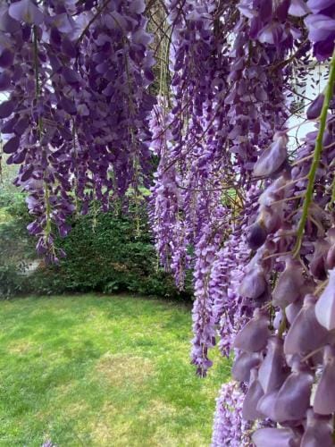 B&B Fior Di Toscana Hotel in Emilia-Romagna