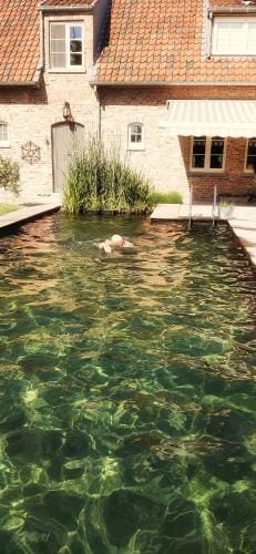 Vakantiewoning Victors Hof tot 4 pers Hotel in Flanders