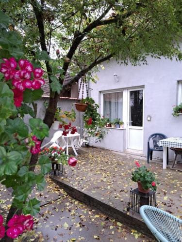 Soul Hotel in Vojvodina