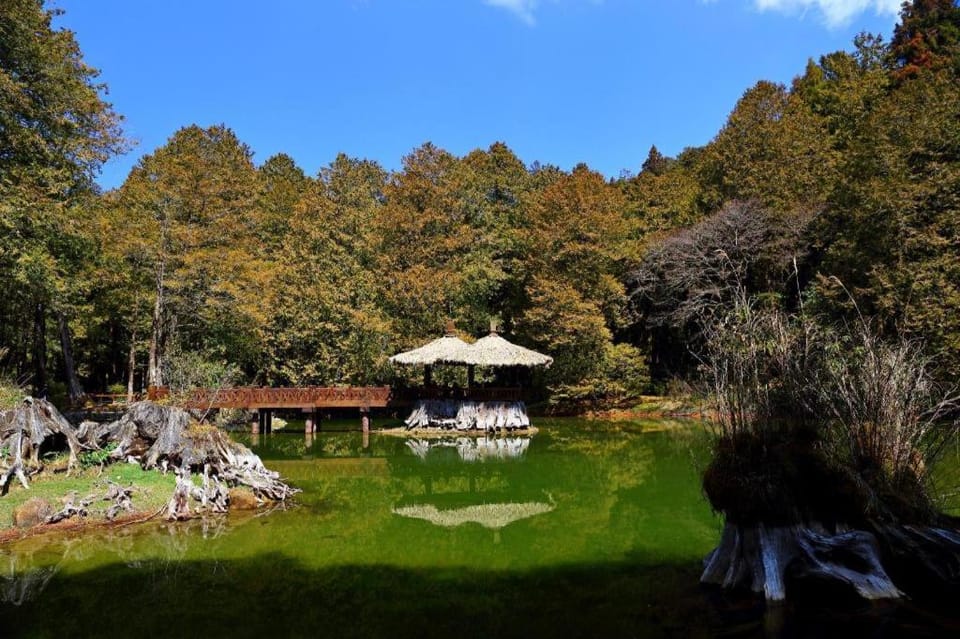 Alishan Shermuh Hotel Hotel in Taiwan, Province of China