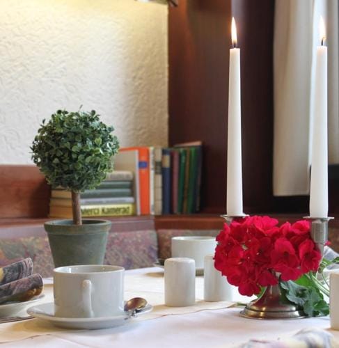 Hotel Gruner Baum Hotel in Erzgebirgskreis