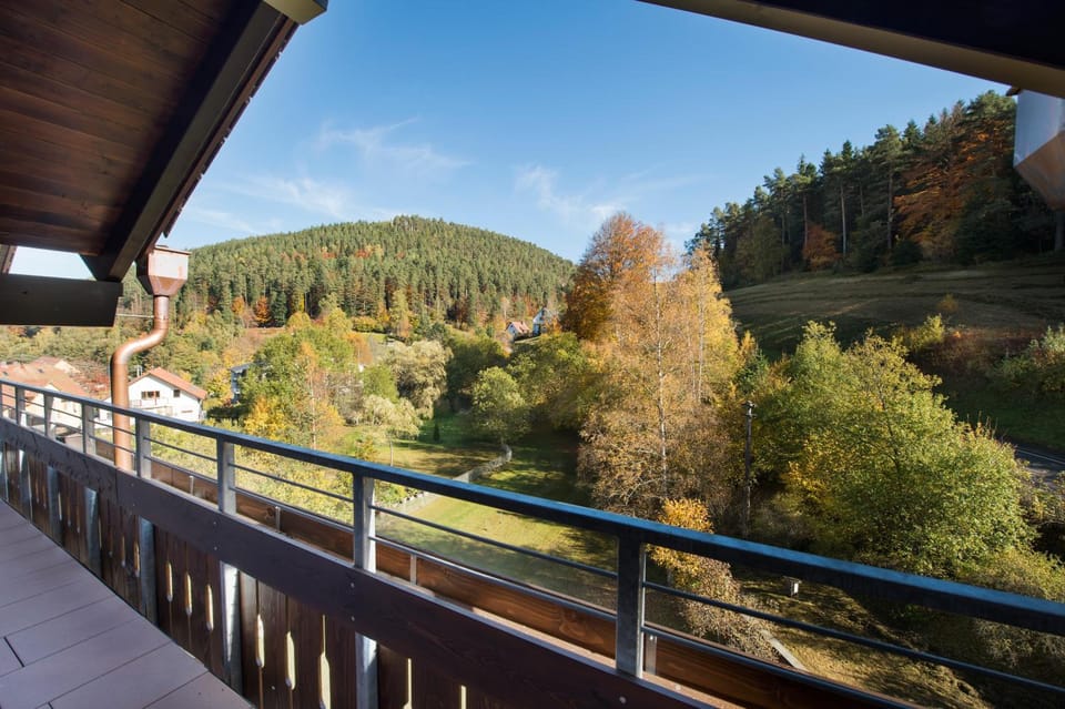 Hotel Schwarzwaldhof Hotel in Baden-Württemberg