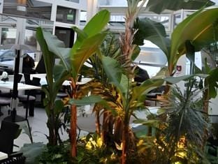 Hotel-Cafe Kampe Hotel in Hamburg