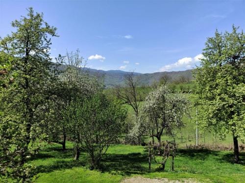 Apatments Radoja - Pliva Hotel in Federation of Bosnia and Herzegovina