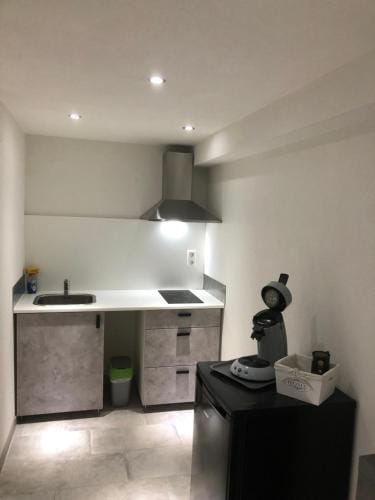 Greenhome Lorrach -Ihre Unterkunft im 3-Landereck- Hotel in Riehen