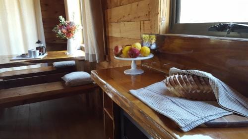 Rustic Hut Bush Retreat Hotel in Penguin