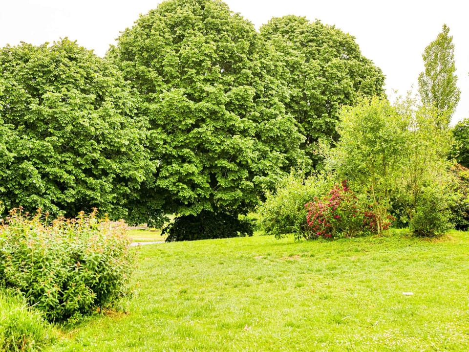 Hotel du Parc - Chantepie Hotel in Brittany
