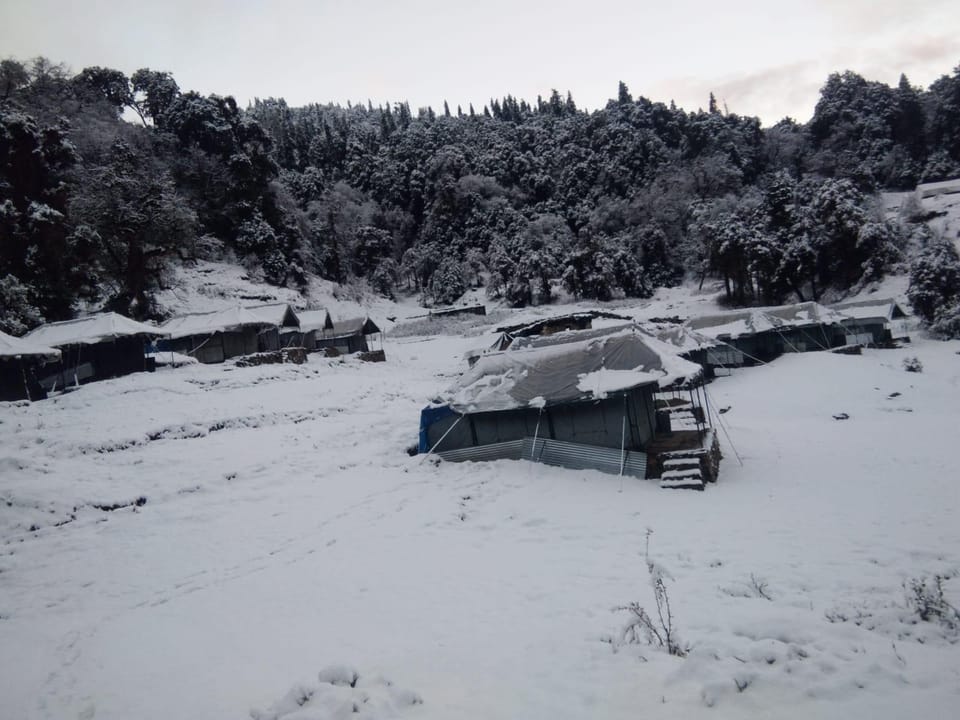 Buzz Eco Camps Chopta Hotel in Uttarakhand
