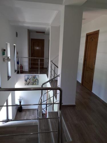 Vila Ovidiu Hotel in Serbia