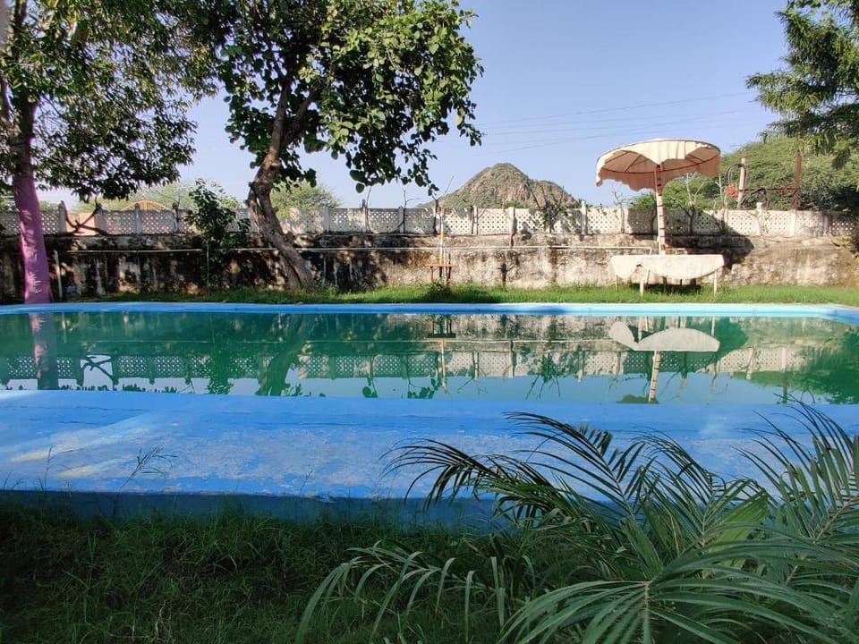 Swimming pool [outdoor]