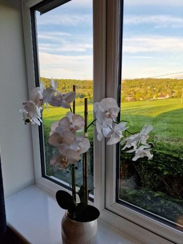 Swan Retreat Hotel in Taunton