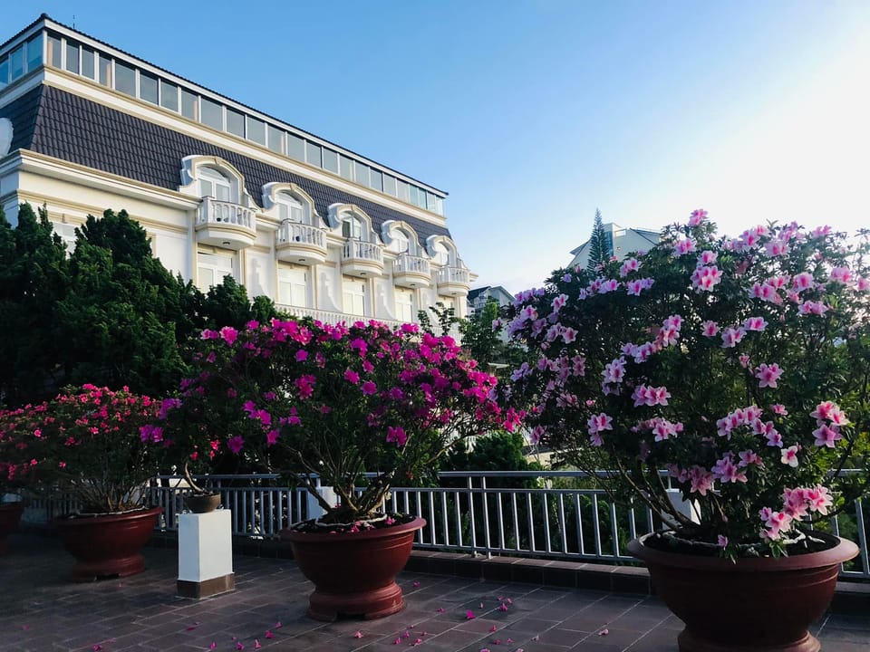 Hotel Diệu Thông Hotel in Dalat
