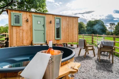Elephant View Shepherds Hut Lodge in Wales