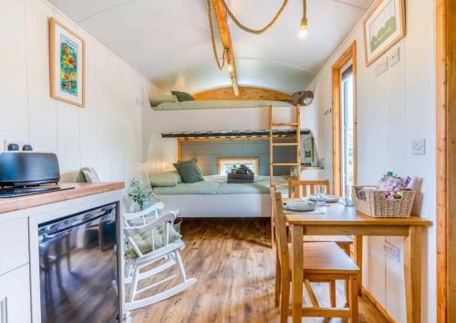 Elephant View Shepherds Hut Lodge in Wales