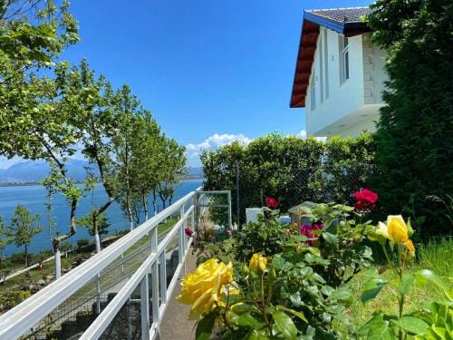 Xhuli Guesthouse Hotel in Montenegro